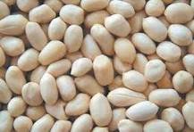 Blanched Groundnut Kernel