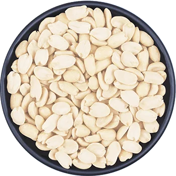 Blanched Peanuts (Split)